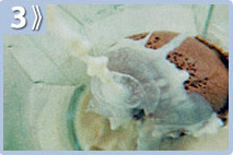 Malteada bicolor, licuar el helado de chocolate