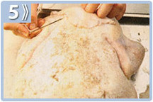 Pavo relleno de frutos secos, rellenar el pavo