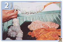Tripa rellena - limpiar y lavar tripa